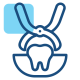 020-tooth-extraction